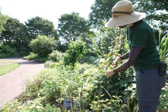 What is My USDA Planting Zone? - Food Gardening Network