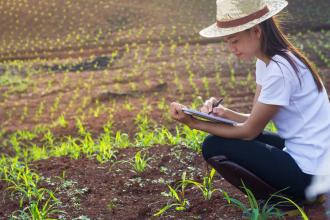 What is My USDA Planting Zone? - Food Gardening Network